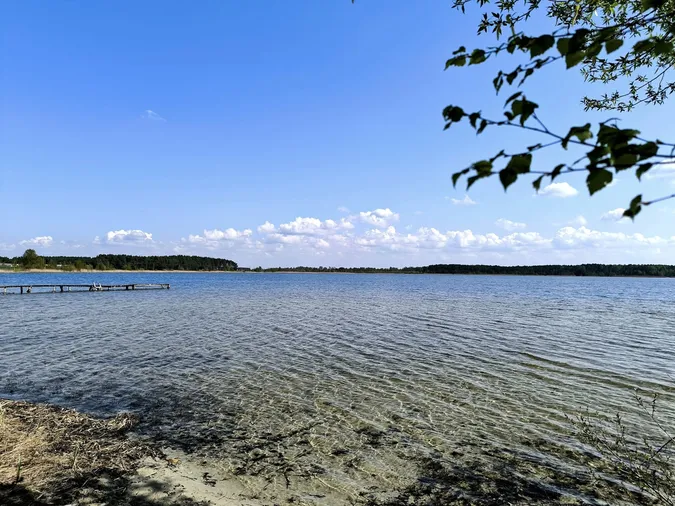 Неймовірно прозоре і чисте: де на Волині причаїлося озеро, де багато риби (фото)