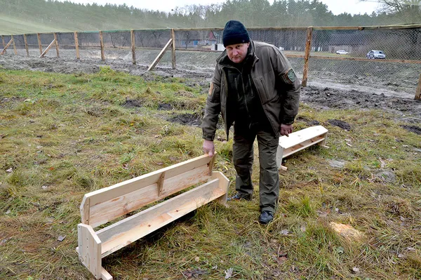 У волинських лісах розселять 4000 селекційних фазанів (фото)