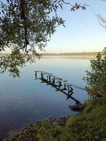 Дуже глибоке і з рибою: показали затуманене озеро на Волині (фото)
