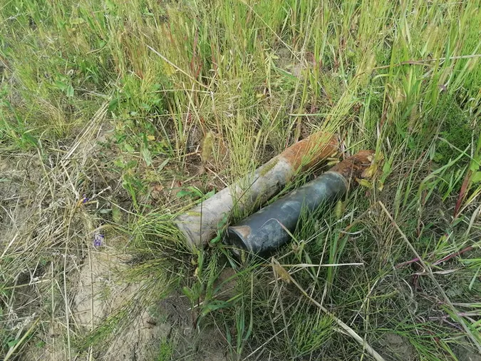 Пішов по гриби: на Волині дідусь знайшов у лісі міни і снаряди (фото)