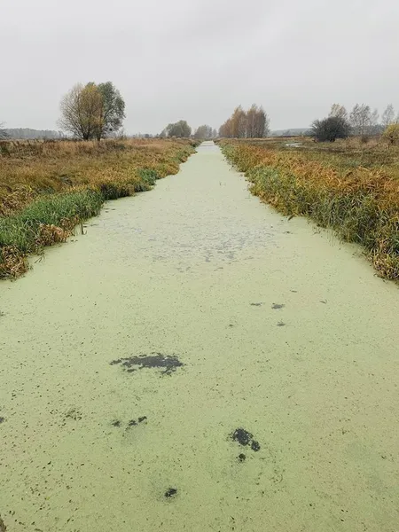 На Волині знайшли місце народження Прип'яті (фото)