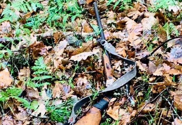 У заказнику на Турійщині браконьєри вполювали козулю (фото 18+)
