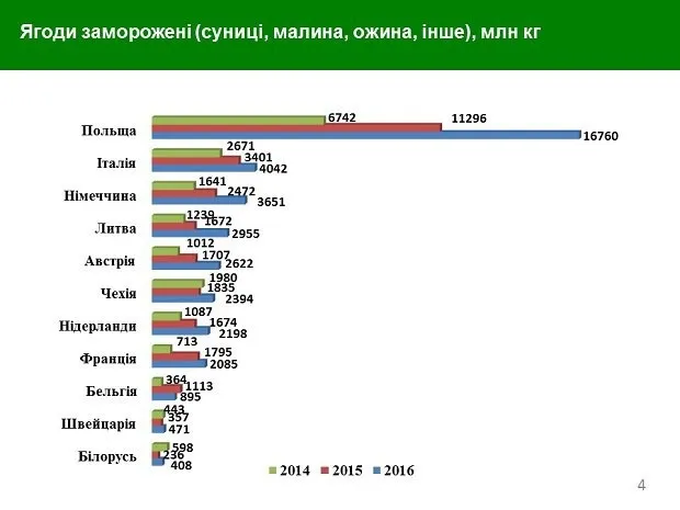 Ягідний бізнес: українські перспективи (інфографіка)