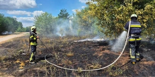 Вогонь охопив майже гектар: на Волині рятувальники ліквідували чотири пожежі сухостою (фото)