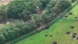 Контррозвідники показали, як знищують дронами росіян (відео)