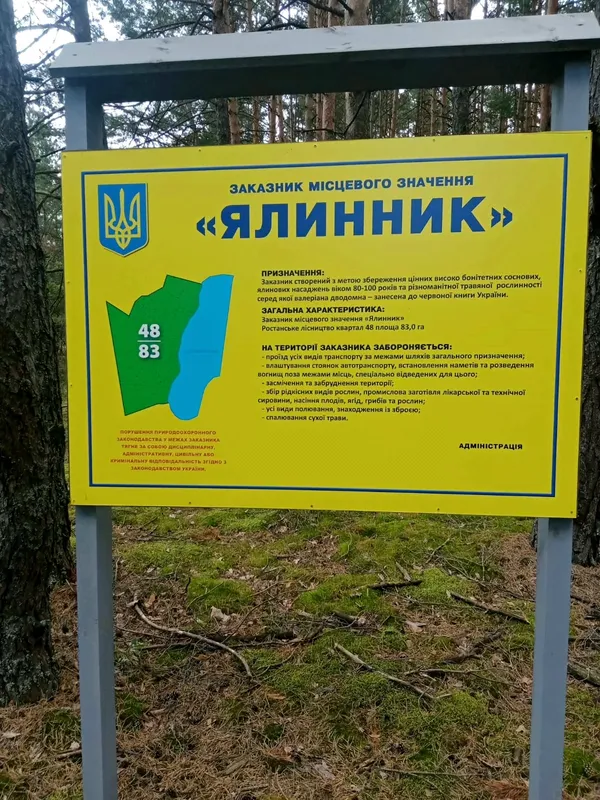 На Шацьких озерах росте рідкісна водяна рослина, що їсть комах (фото)