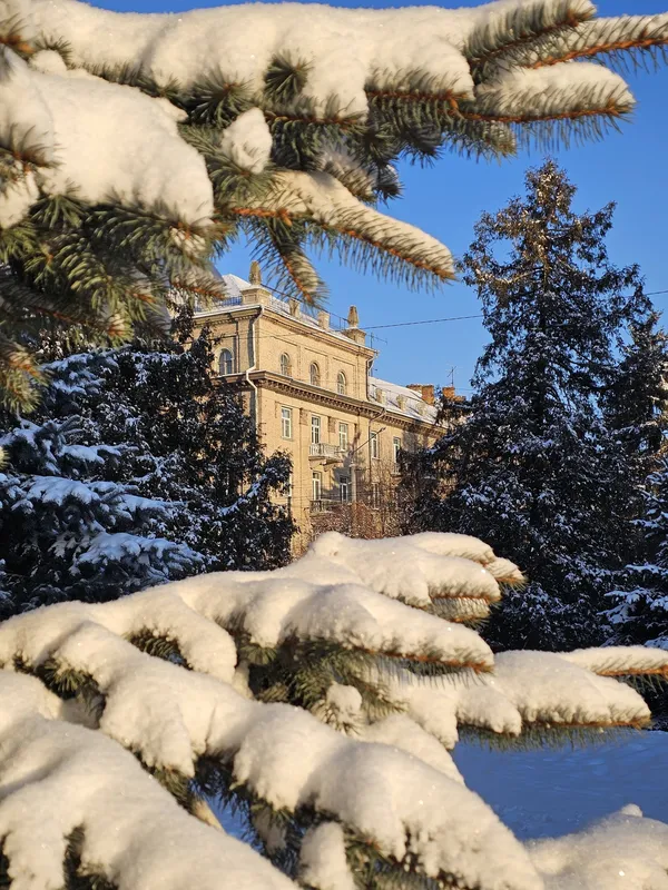 Кликуни несуть світло: показали мальовничі ранкові пейзажі Луцька (фото)