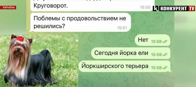 На окупованих землях загарбники знов їдять собак, – СБУ (відео)