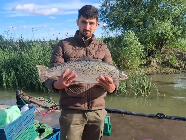 Майже не вивчений вид: у Дунаї виловили рідкісного червонокнижного лосося (фото)