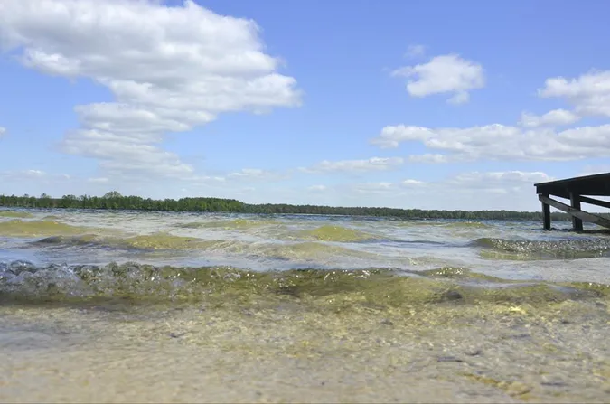 На водоймах Шацького нацпарку дозволили рибалити: умови й ціни