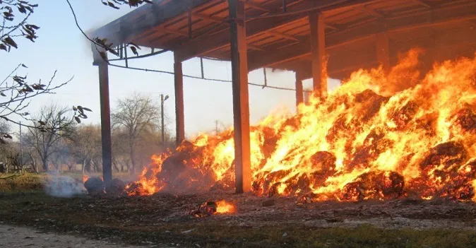 На Волині вогонь знищив п'ять тонн сіна