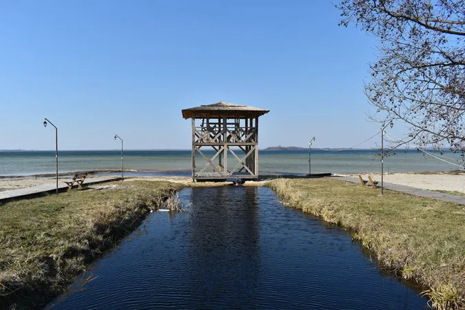 Парасольки, парковка, велосипедна доріжка: як змінився курортний Світязь (фото)