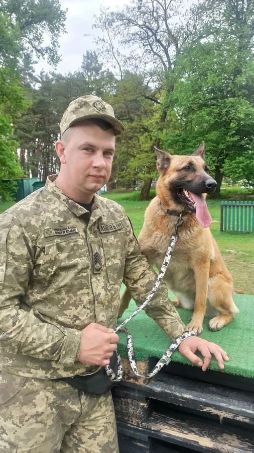 Знаходить вибухівку там, де безсилі прилади: історія волинського кінолога та його малінуа Атаки (фото)