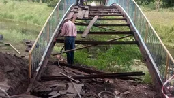 У луцькому парку розбирають аварійний "місток закоханих" (фото)