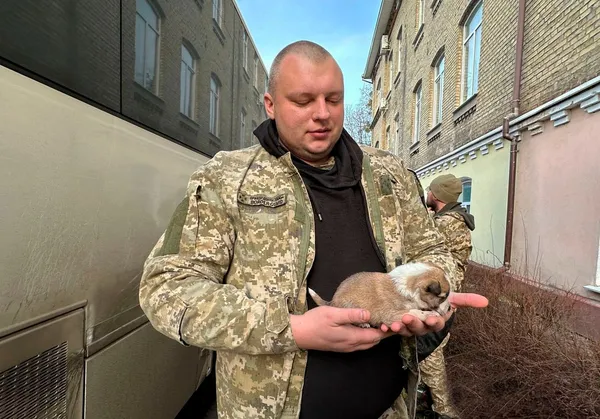 Волинський прикордонник врятував цуценя із зони бойових дій (фото)