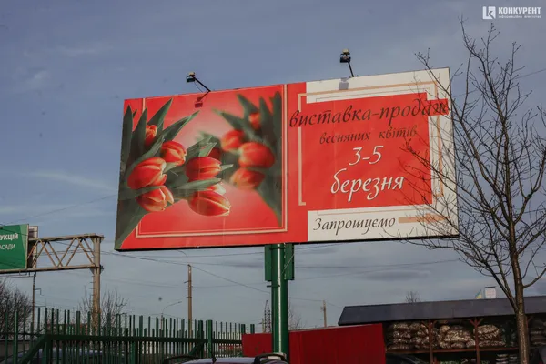 Armani, Dior та ванна у квітах: біля Луцька – pre-party «Волинської Голландії» (фото)