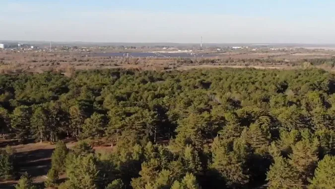 На Волині лісові землі вартістю у 2,6 мільйона незаконно стали комунальними
