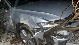 Біля Нововолинську водійка злетіла з дороги та врізалась в хащі (фото)
