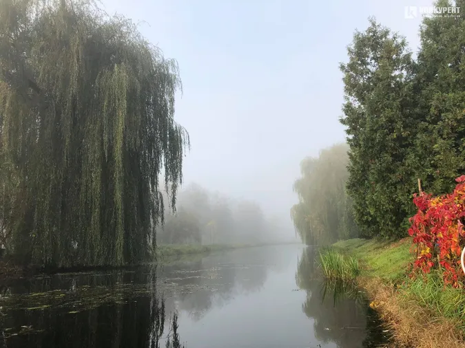 Центральний парк Луцька у ранковому тумані (фото)