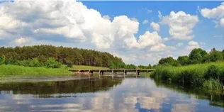 Річка Турія змінюється: тривають роботи з покращення екологічного стану водойми (фото)