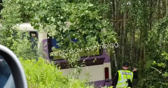 На трасі Київ-Ковель-Ягодин маршрутка злетіла у кювет (відео)