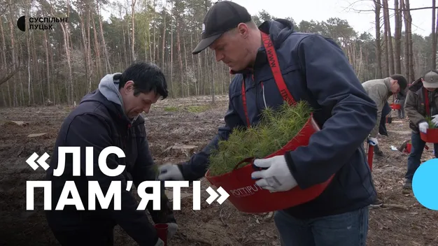 «Ліс пам'яті»: на Волині висадили дерева на честь загиблих Захисників-лісівників (фото, відео)