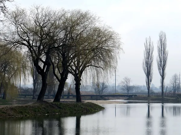 Фото В'ячеслав Галевський