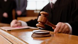 ТзОВ "Луцькмістобуд" виграло у міськради суд щодо ділянки в заповіднику 