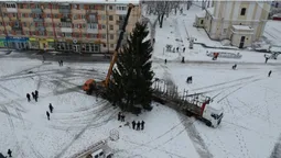 🎄 У Володимирі встановили головну ялинку міста (фото)
