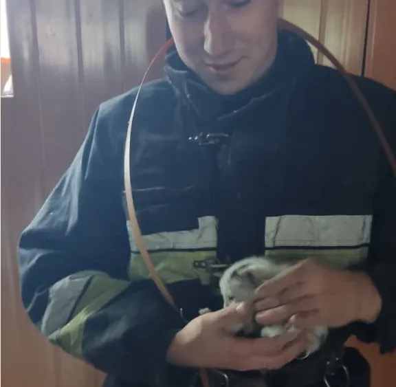 На Волині рятувальники визволили з пастки котика (фото)