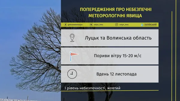 Потужний вітер: на Волині оголосили «жовтий» рівень небезпечності