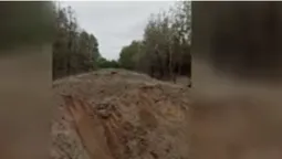 На Волині біля прикордонного пункту «Дольськ» здетонував вибуховий пристрій, – ЗМІ