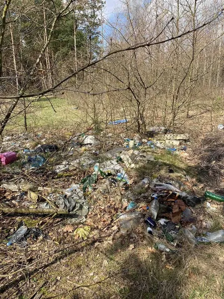 Сотня чорних пакетів: на Шацьких озерах влаштували велике прибирання (фото)