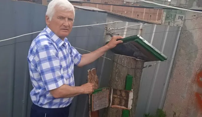 Лучанин на даху дев'ятиповерхівки зробив пасіку (фото)