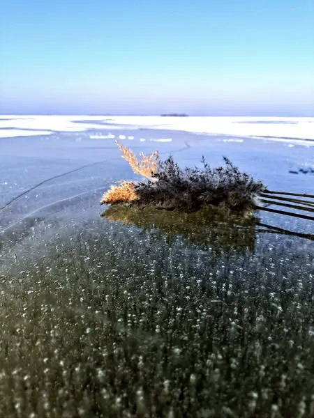 Трава на берегах і крига на воді: на Світязі зима зустрічає весну (фото)