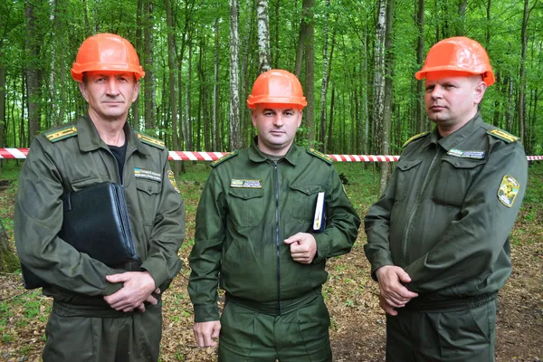 Від сучків до дубових заготовок: як на Волині «пиляють» ліс (ФОТОРЕПОРТАЖ)