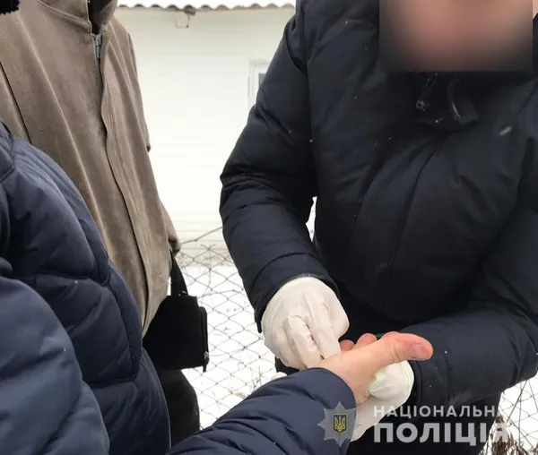 На Волині сільський голова взяв хабар за ялинки (фото)