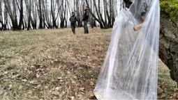 Як правильно збирати березовий сік: поради волинських лісівників