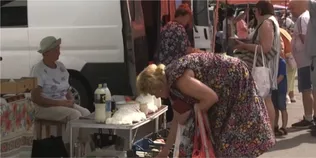Ціни на ринках Луцька полетять вгору: що здорожчає найбільше (відео)