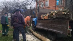 У Луцьку вздовж Сапалаївки чистять берег від зарослів (фото, відео)