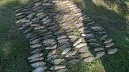 На Волині браконьєри наловили риби на майже 200 тисяч гривень (фото)