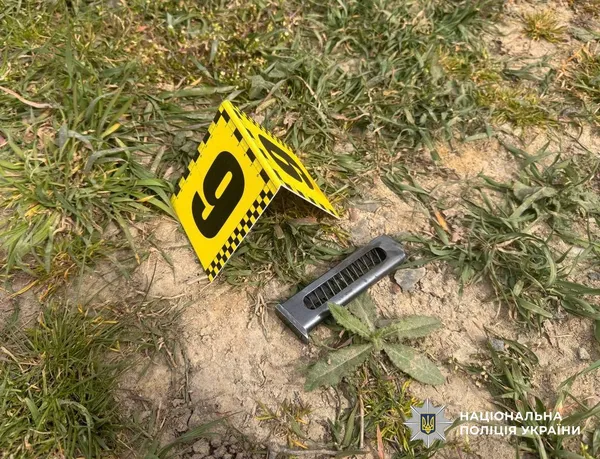 Викрав жінку з 3-річною дитиною: на Закарпатті затримали озброєного нападника (фото)