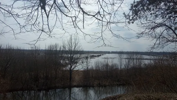 Дика краса: на крутосхилах на Волині ростуть 20-метрові вікові дуби (фото)