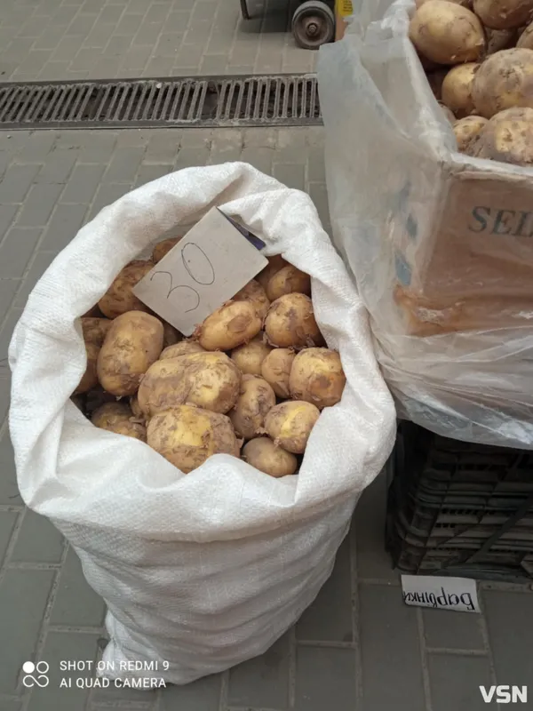 Скільки на ринку в Луцьку коштує молода картопля