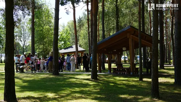 Де безпечно відпочивати з дітьми: ДП «Ліси України» запускає другий етап проєкту «Вікно у ліс»