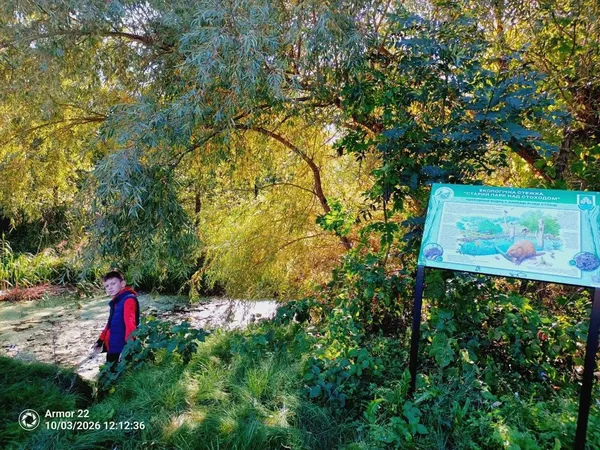 На Волині досліджували дику природу Стоходу: шукали бобрів, а зустріли норку та червонокнижного птаха (фото)