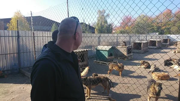На КП «Ласка» майстрували собакам будки (фото)