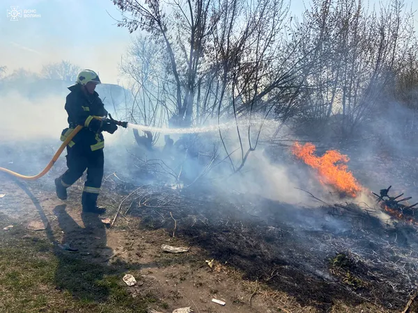 Волинь у диму: рятувальники гасили пожежі в усіх районах області (фото)