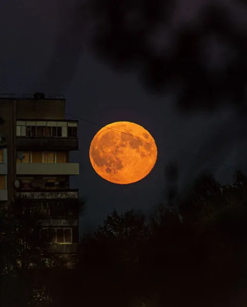У небі над Волинню «зловили» супермісяць – «Місяць мисливця» (фото)