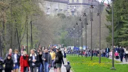 Які зміни потрібні центральному парку Луцька: думка експертів 